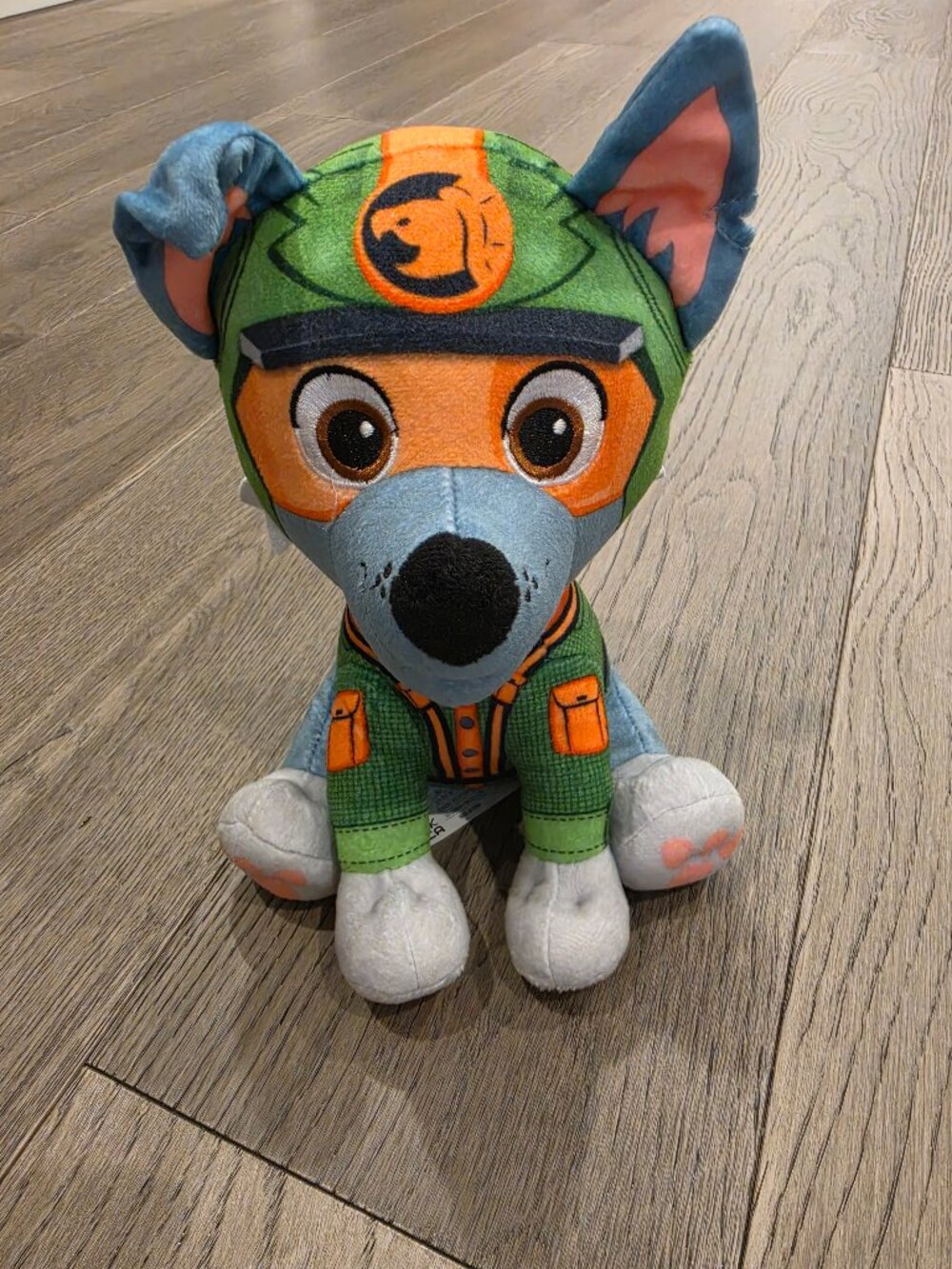 Paw patrol